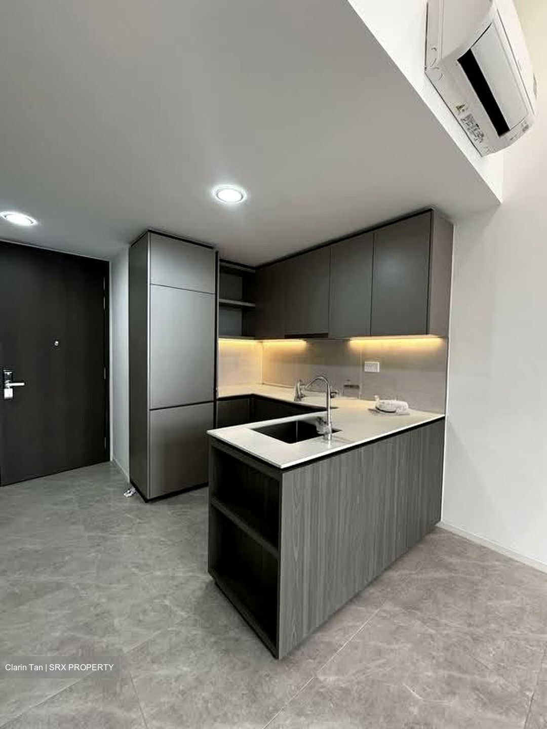 Piccadilly Grand (D8), Apartment #574418101